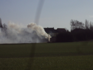 RENINGELST 009
