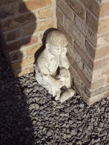 RENINGELST 019