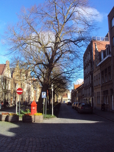 IEPER 012