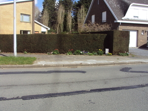 IEPER 025