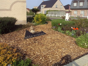 OOSTENDE 009