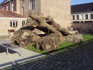 LICHTERVELDE 003