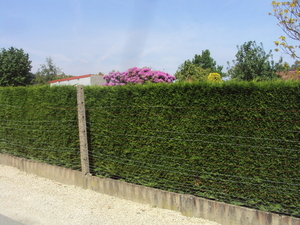LICHTERVELDE 020