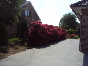LICHTERVELDE 021