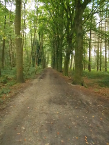 OOSTKAMP 009