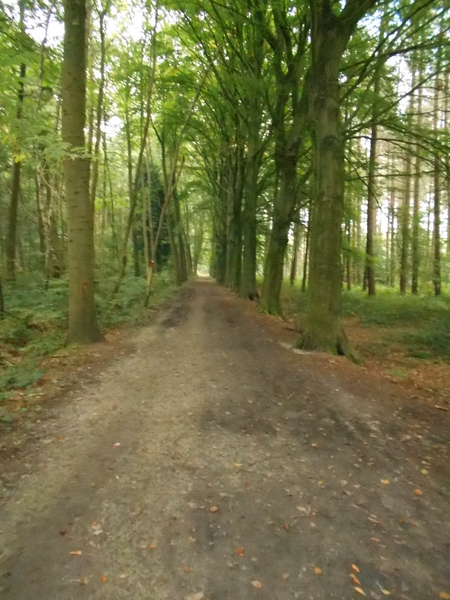 OOSTKAMP 009