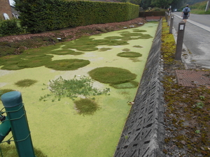 OOSTKAMP 013