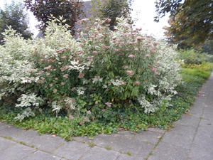 OOSTKAMP 015