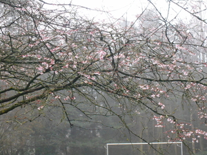 DIEST 005