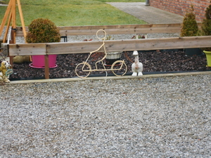 DIEST 008
