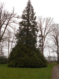 oostkamp 012