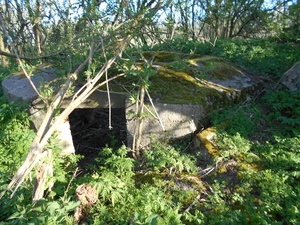 RAVERSYDE 005