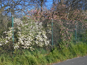 RAVERSYDE 010