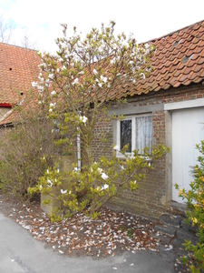 MEETKERKE 003
