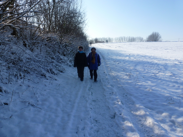 16 Januari Erwetegem Midweektocht