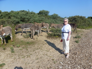 9july Oostduinkerke Kruwerstocht