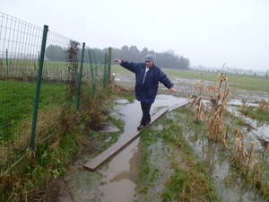 12november Ingelmunster Avifloratocht