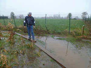 12november Ingelmunster  Avifloratocht
