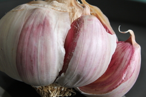 Garlic!