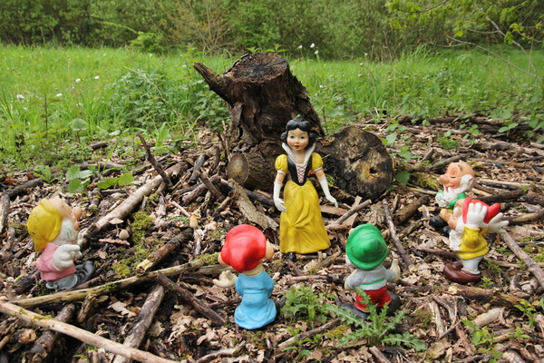 The meeting!