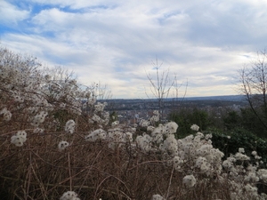 2012-12-29 Liège 031