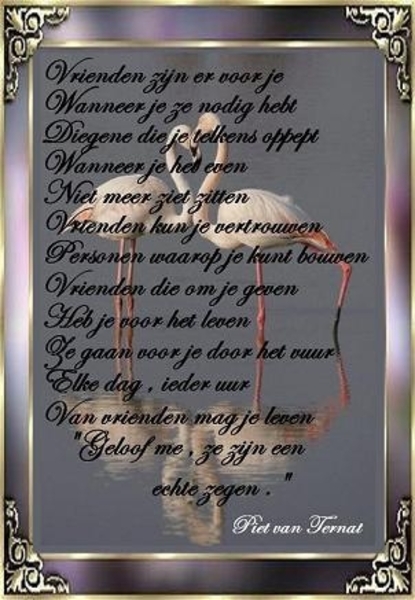 59vriendenzijnervoorjebuz9