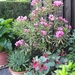 BILD0025