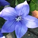 BILD0026