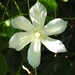 BILD0029