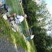 BILD0098