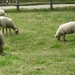 BILD0111
