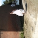 BILD0169