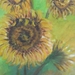 BILD0175