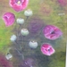 BILD0179