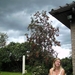 BILD0196