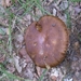 BILD0205