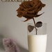 chocola met poes=