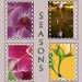 de -vier -jaargetijden-bloemen