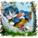 designcat