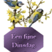 dinsdag1aafr9