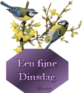 dinsdag1aafr9