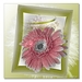 Een bloem