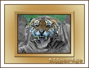 een tijger