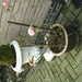 foto's van ons Nora 010