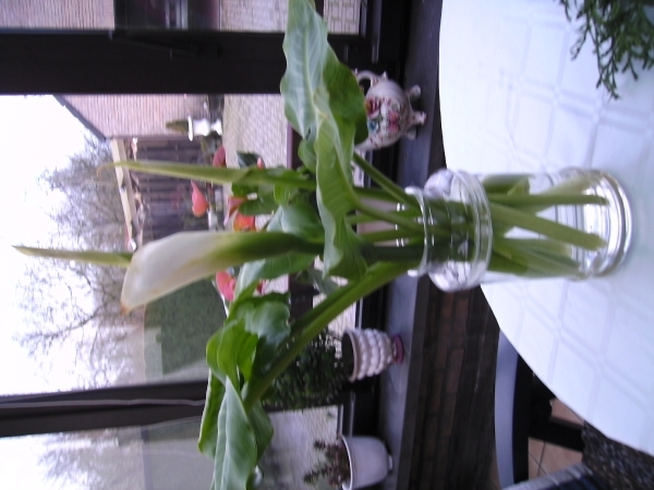 foto's van ons Nora 013