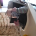 foto's van ons Nora 017