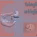 geboorte no 7