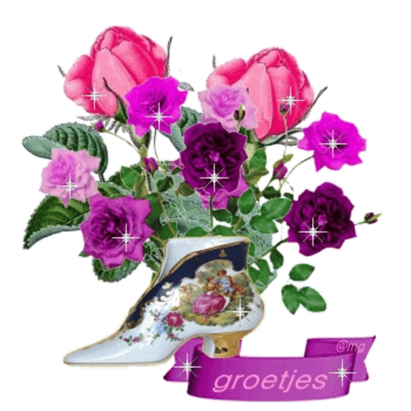 gtoetjes1ql5