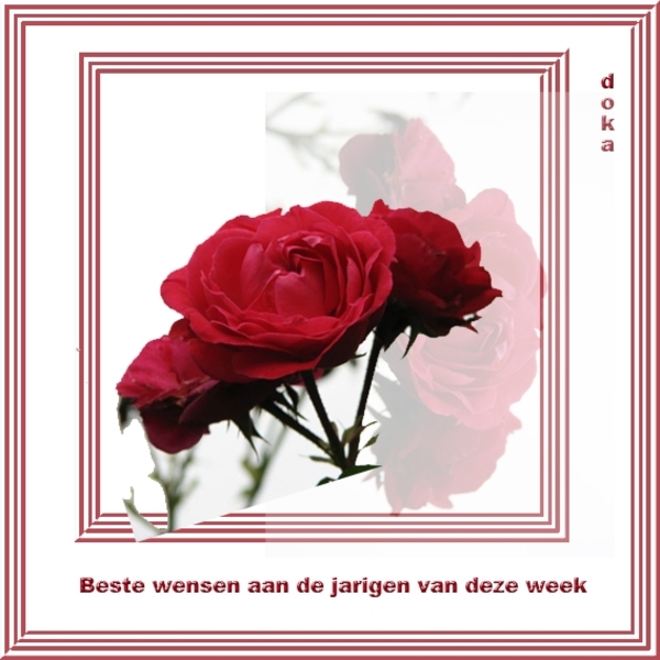 jarige van vandaag