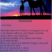 paardengebed
